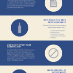 How Does SR22 Insurance Affect Your Job A Total Breakdown infographic
